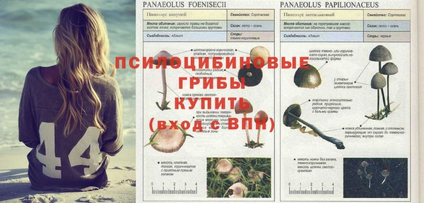 дживик Армянск
